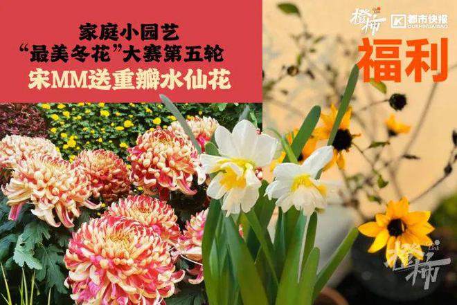 茶姬动物手机支架……橙柿超多福利送送送m6米乐时髦人都有的巴拉克拉法帽、霸王
