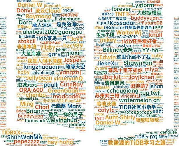 ！又携手共进了一年2025年一起迎接变化挑战变化！m6米乐2024 TiDB社区年度总结报告新鲜出炉(图6)