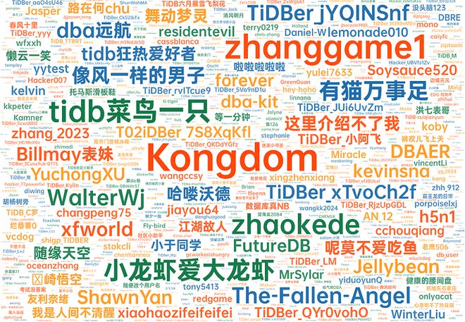 ！又携手共进了一年2025年一起迎接变化挑战变化！m6米乐2024 TiDB社区年度总结报告新鲜出炉(图14)